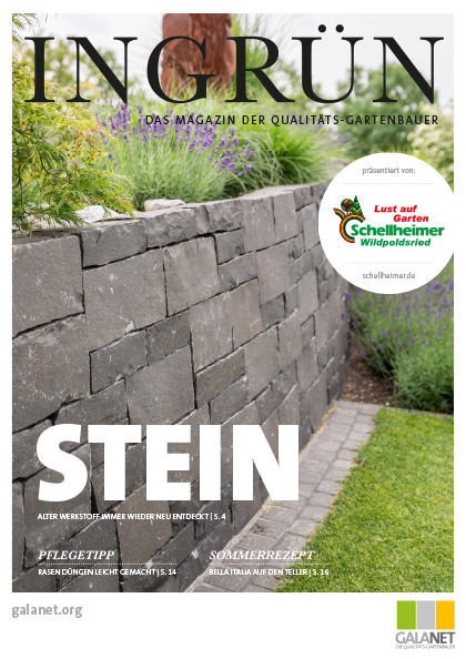 Ingrün 02/2019