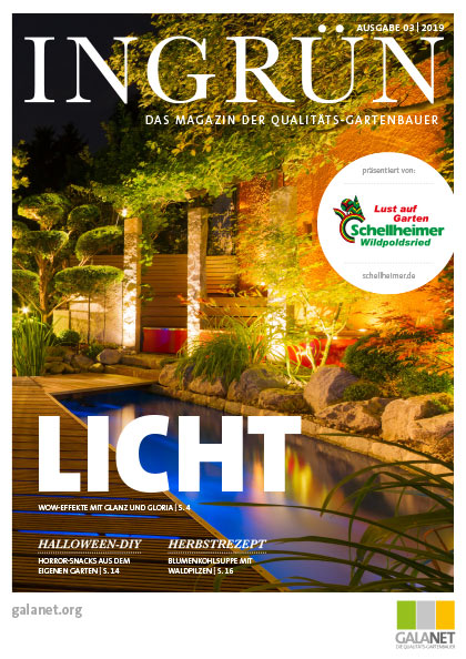 INGRÜN 03/2019